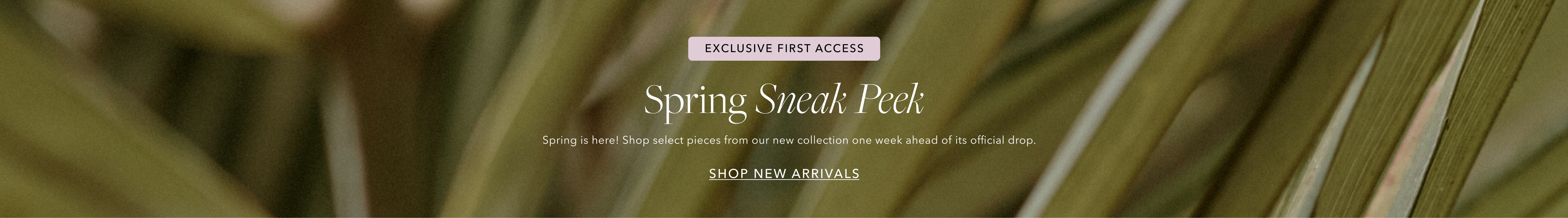 Exclusive First Access | Spring Sneak Peek | Shop New Arrivals